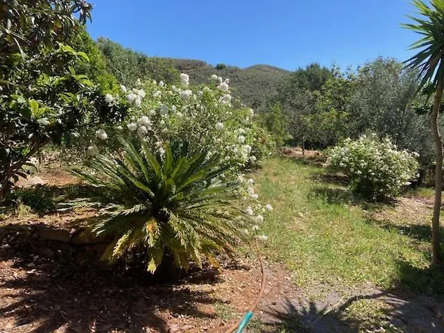 Willa Quinta Cornelia - Casas Novas Santa Catarina da Fonte do Bispo 0*,  Portugalia